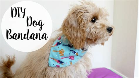 DIY Dog Bandana - No Sew - YouTube