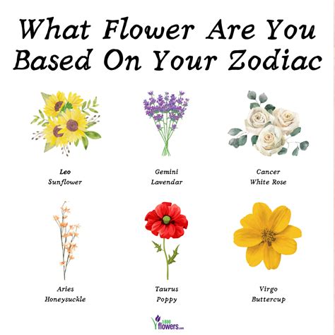 What Is The Flower For Cancer Zodiac