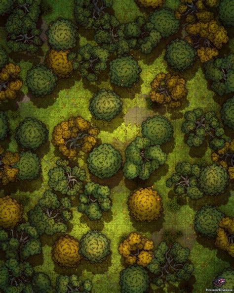 Forest Wilderness Battle Map 24x30 - battlemaps | Forest map, Fantasy map, Dnd world map