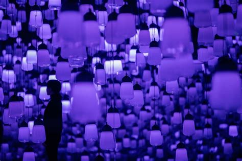 'Forest of Resonating Lamps - One Stroke, Wisteria' by teamLab - Digital Ambiance