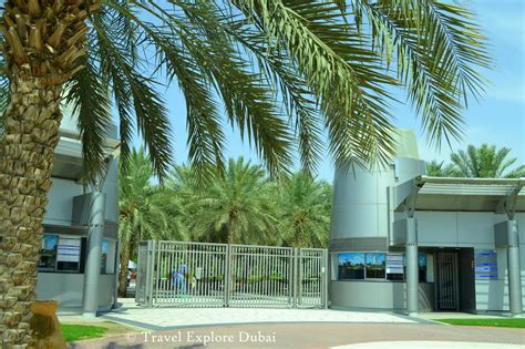 Travel Explore Dubai: ZABEEL PARK – DUBAI