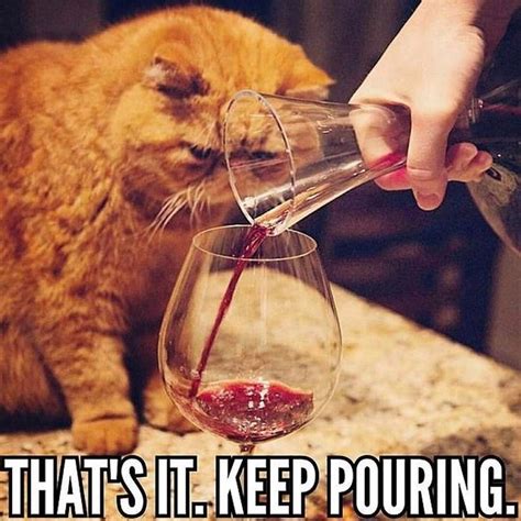 Wine Tasting Meme Silly Cheezburger