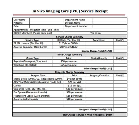 18+ Service Receipt Templates - DOC, PDF