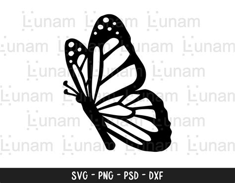 Schmetterling SVG, Schmetterling SVG-Datei, geschichteten Schmetterling ...