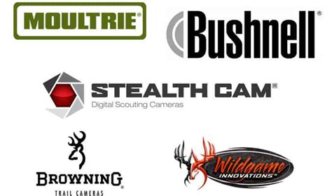 Best Trail Camera Brands - Reviews and Comparison