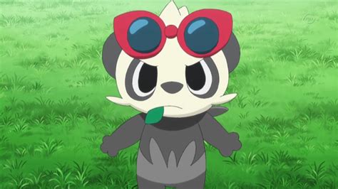 Serena's Pancham | Pokemon, Cute pokemon pictures, Pokemon pictures