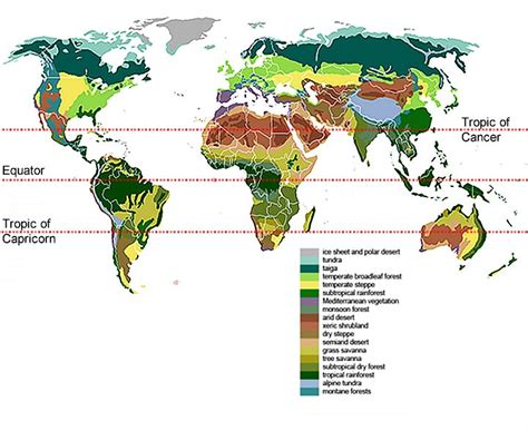 Temperate Broadleaf Forest Map