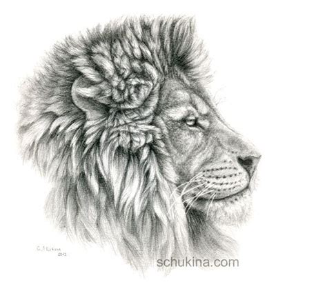 Lion - profile by sschukina on deviantART | Lion profile, Lion tattoo ...