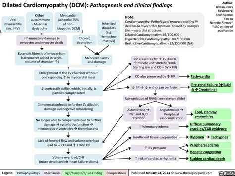 Pin on Forensic pathology - natural disease