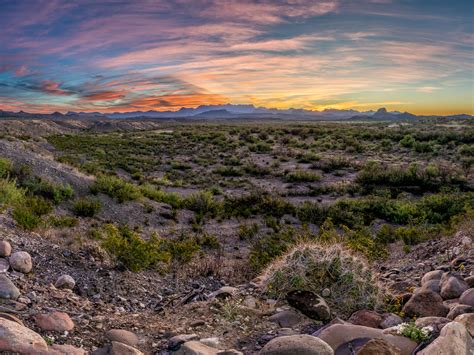 Chihuahuan Desert Sunrise - T. Kahler Photography