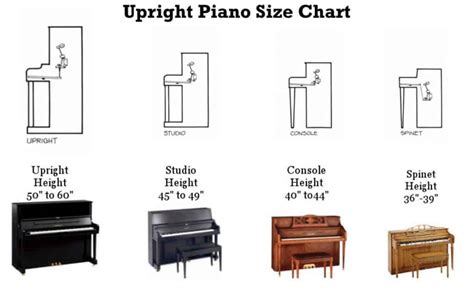 4 Upright Piano Types & Sizes (Largest To Smallest) - MusicalHow