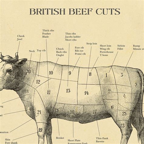 British Butcher cuts chart beef cuts print A4-A2 | Etsy