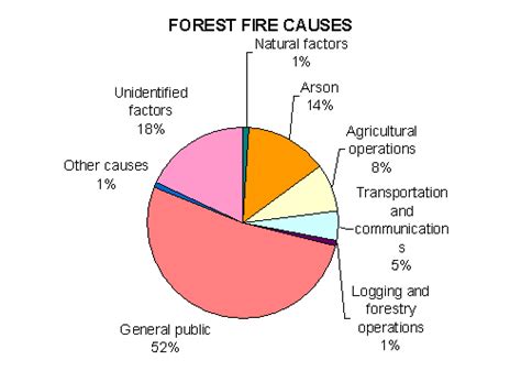 Causes Of Forest Fires