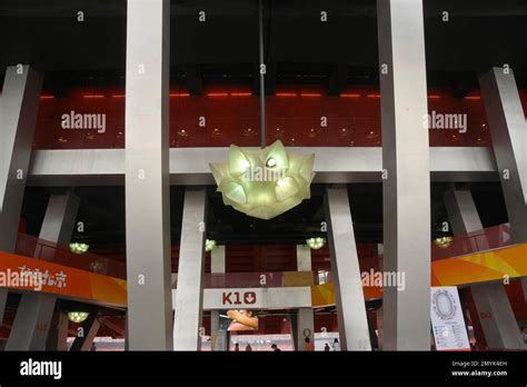 The Olympic stadium - the bird's nest Stock Photo - Alamy