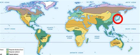 Temperate Deciduous Forest Map