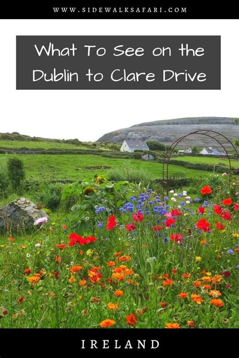 How to make the most of a quick dublin to clare road trip – Artofit