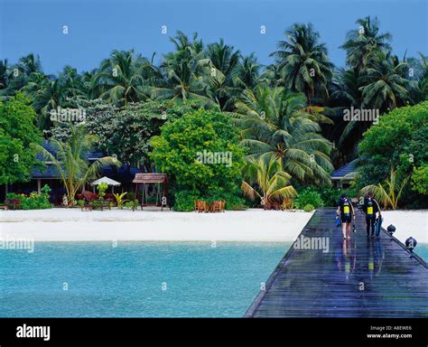 Maldives islands Indian ocean Baa atoll, beach Stock Photo - Alamy