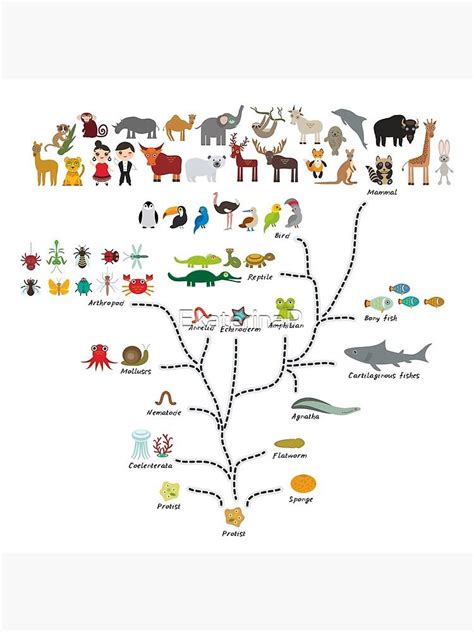 Evolution scale from unicellular organism to mammals. Evolution in ...