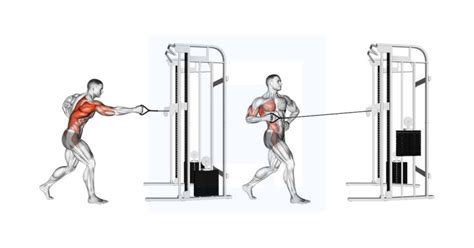 Cable Standing Row - Guide, Benefits, and Form