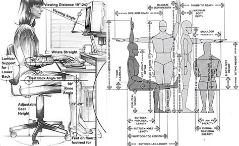 Anthropometry in Architecture - JD Institute