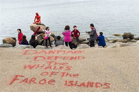 Copenhagen’s ‘Little Mermaid’ statue vandalized over Faroe Islands ...