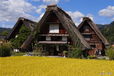 Así es Shirakawa-go, la aldea japonesa donde el tiempo se paró ...