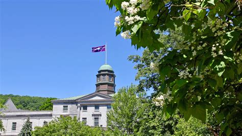 McGill flies the Hiawatha Wampum Belt Flag from Arts Building - McGill ...