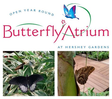 Hershey Gardens Butterfly Atrium Open Year Round! #Hershey #SweetestMoms