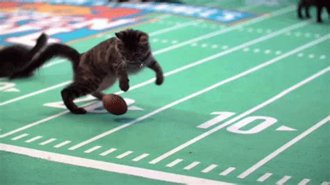 Football Playing GIF by Hallmark Channel - Find & Share on GIPHY