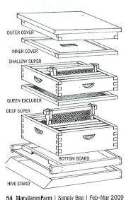 bee hive parts diagram - Google Search | Backyard bee, Bee, Bee hive