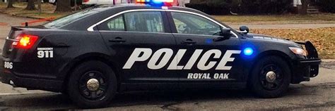 Royal Oak Police Make 3 Assault Busts | Royal Oak, MI Patch