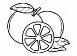 Arancia Disegno Da Colorare Tuttodisegni Com  Vrogueco sketch template