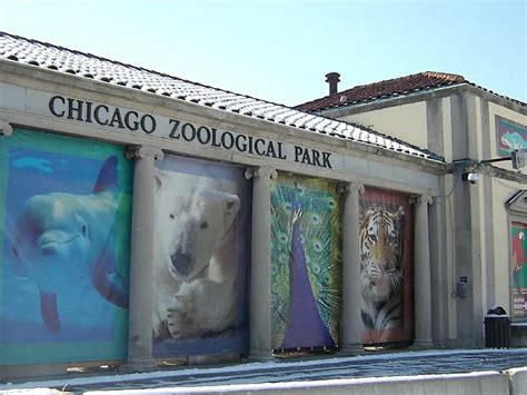 Brookfield Zoo (Brookfield) - Visitor Information & Reviews