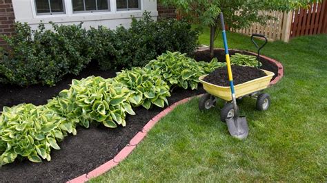 Five Unique Landscaping Ideas That Will Catch The Eye – Coastlandscaping Inc.