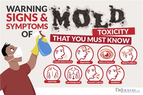 Mold Allergy: Symptoms, Testing and Natural Treatment | Fibromyalgia ...