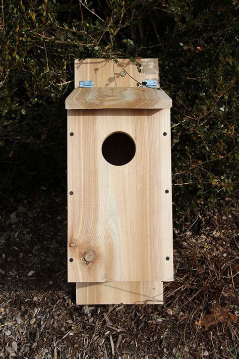 Build A Screech Owl Nesting Box From A Cedar Board - Hobby Farms