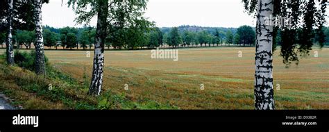 View of landscape with avenue in background Stock Photo - Alamy