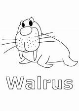 Free Printable Walrus Coloring Pages For Kids sketch template