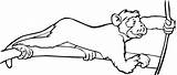 Monkey Holds A Liana coloring page  Free Printable Coloring Pages sketch template