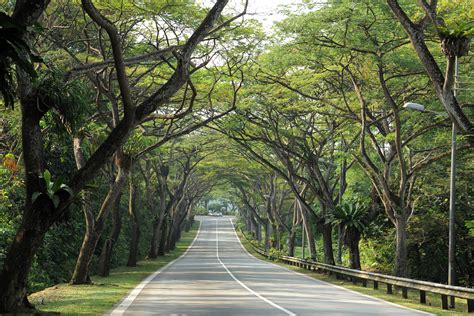 Heritage Roads - Gardens, Parks & Nature - National Parks Board (NParks)