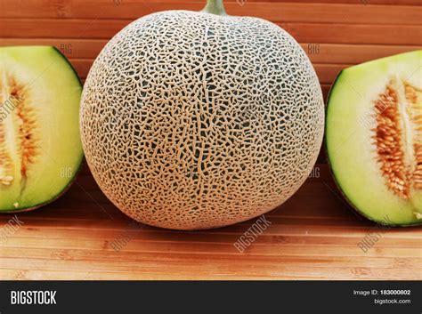 Melon Fruit Spherical Image & Photo (Free Trial) | Bigstock