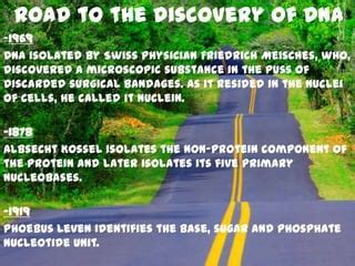 Dna G quadreplex structure discovery | PPT