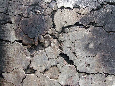 Free photo: Cracked wall - Crease, Crumpled, Damaged - Free Download - Jooinn