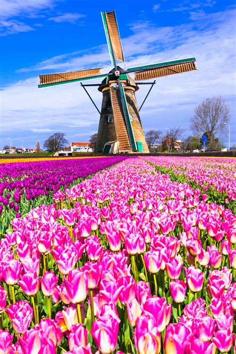 The Best Time to Travel to Amsterdam With #VikingCruises | Dutch ...