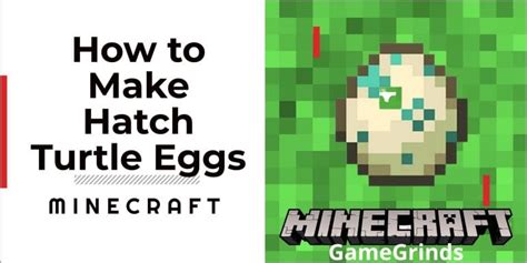 How To Hatch Turtle Eggs In Minecraft - [Complete Guide] | GameGrinds