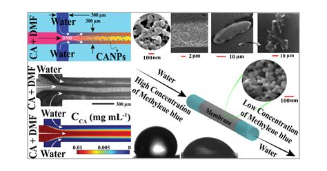 Self-Organized Implanting of Micro/Nanofiltration Membranes in Advanced ...