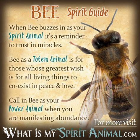 Bee Symbolism & Meaning | Spirit, Totem & Power Animal