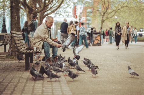 Feeding pigeons a churro | Dries Buytaert