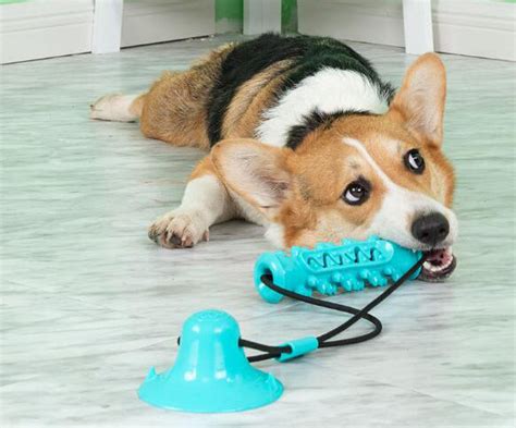 Rewarding Dog Toys – Fetch n' Play Toys