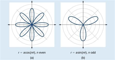 Section 6.4: Polar Coordinates: Graphs | Precalculus